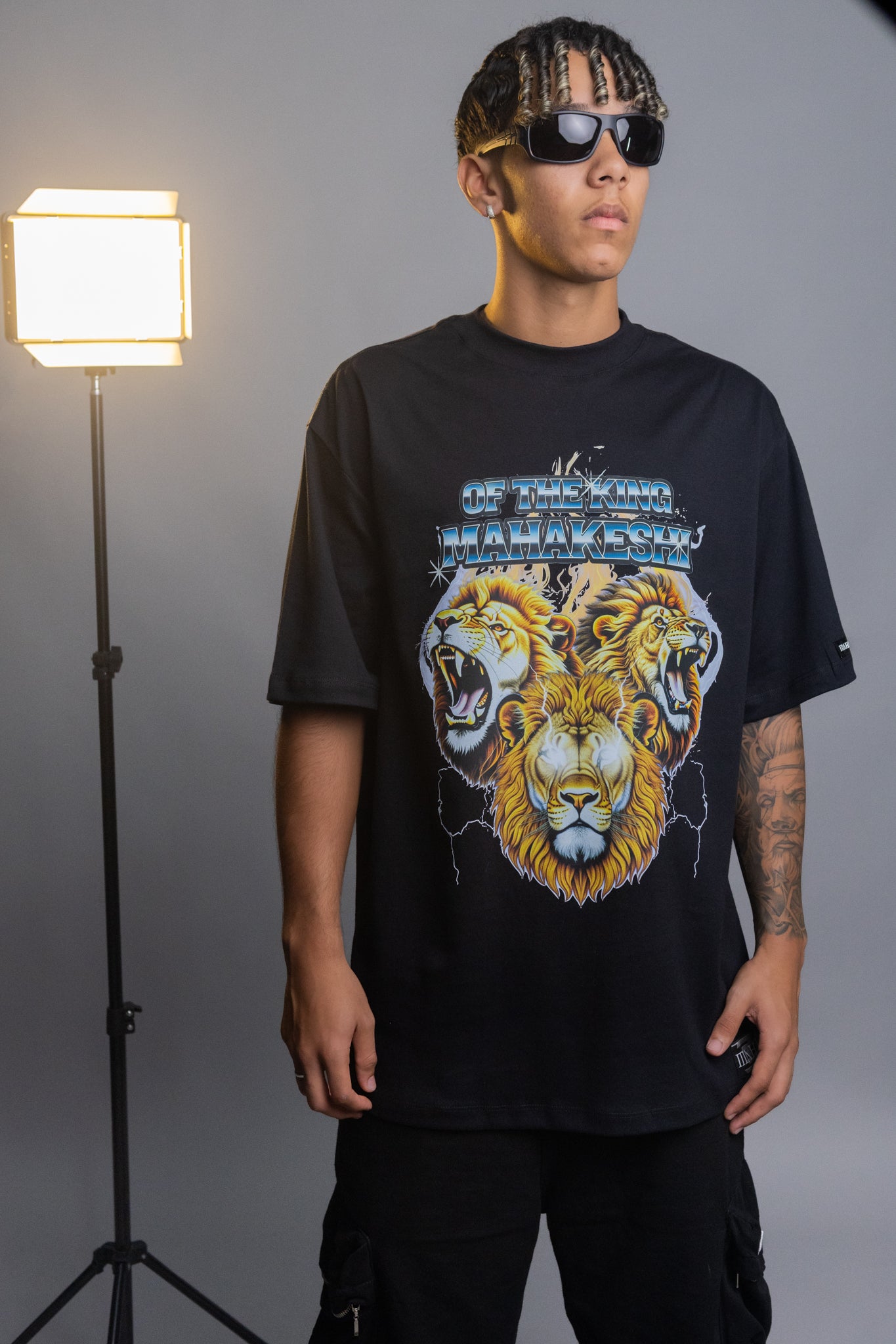 Oversized Of The Lion